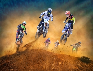 Salon.Photo Bronze Medal