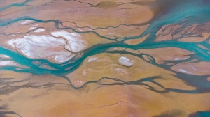 Salon.Photo Gold Medal